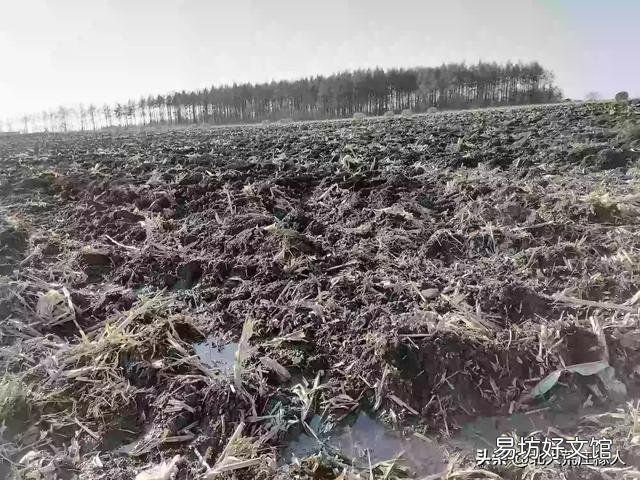 秸秆利用给农民一亩地增收多少?
