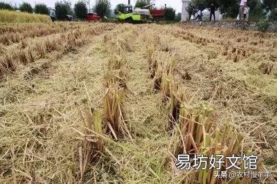 秸秆利用给农民一亩地增收多少?