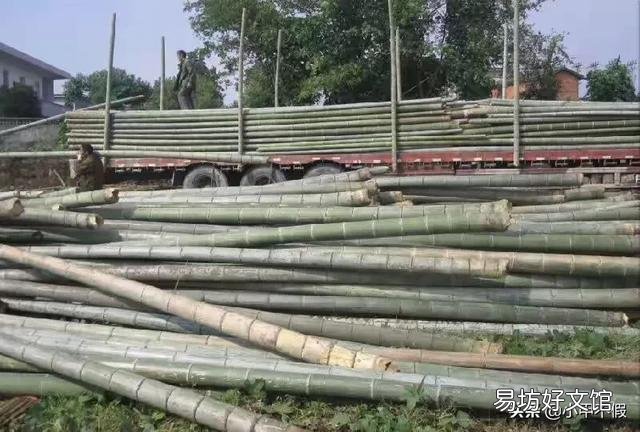 如果在农村开个小加工厂,做什么比较好呢?为何?