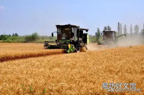 种一百亩小麦成本多少钱,利润多少钱?有什么建议?