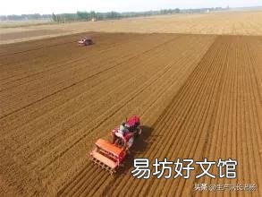 种一百亩小麦成本多少钱,利润多少钱?有什么建议?
