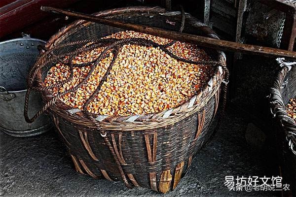 我有5万斤玉米,我想等七月卖,能卖到1.2元一斤吗?