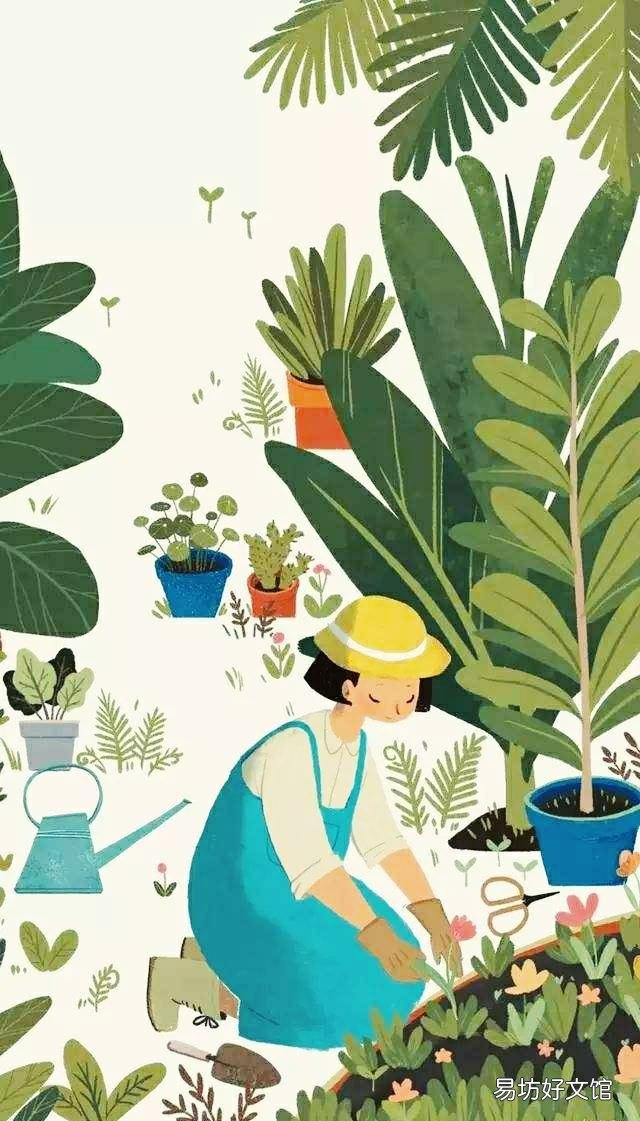每个人都有老的时候,你对你老了怎样打算的?
