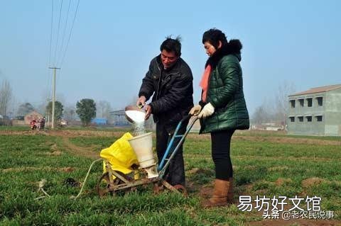 最近给小麦浇水,一亩地用多少尿素为好?