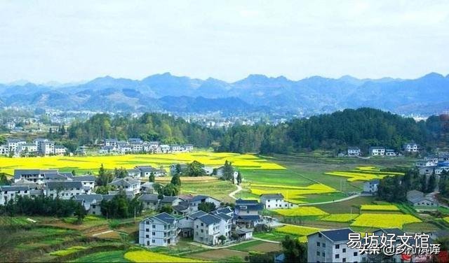 农村生活比城市差吗?为什么我觉得更舒心?