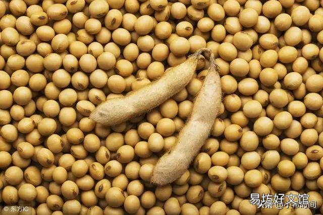 我国大豆放开进口对2020年秋季大豆市场价格是否有影响?