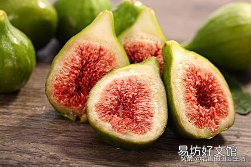 石榴树和无花果喷什么药比较安全低毒?