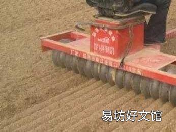 过了雨水了，能栽小麦吗？