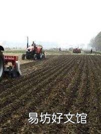 过了雨水了，能栽小麦吗？