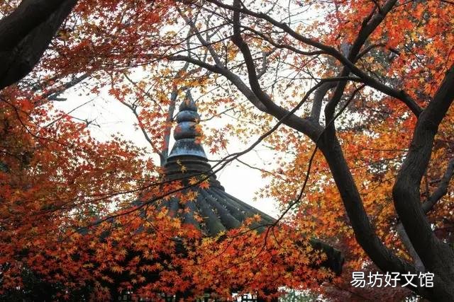 开车遇到红白喜事丧事,到底怎么做才妥当?