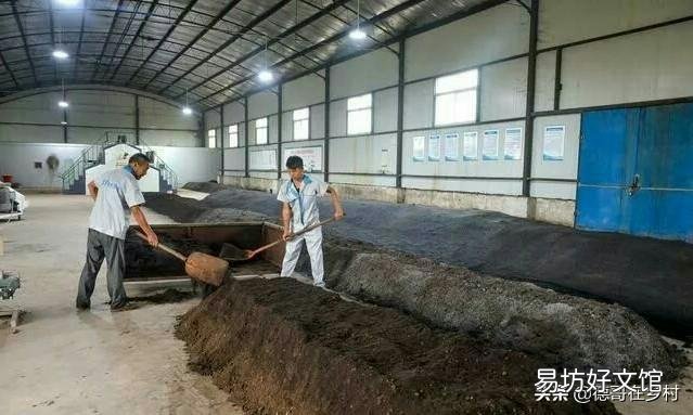 化肥和有机肥有哪些区别?