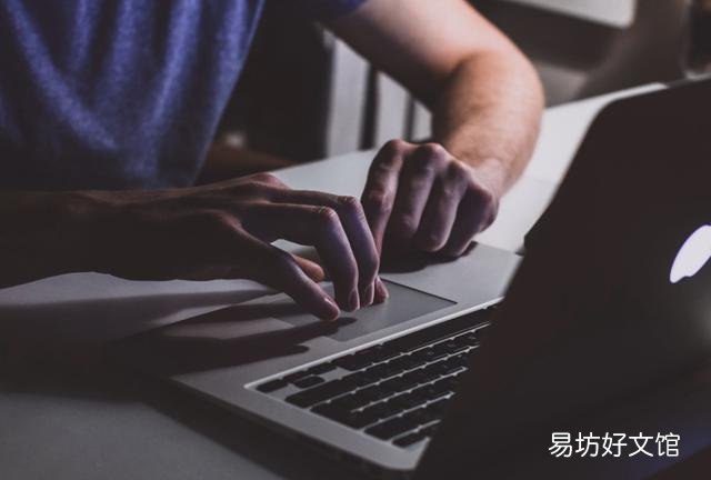新手网上创业的四大禁忌 网络创业网的主营业务有哪些