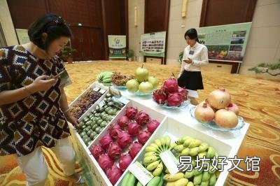 农产品电商推广模式 红河网络营销怎么做
