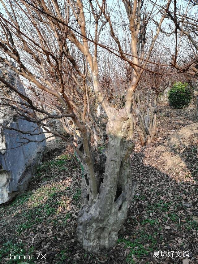 截止目前，全国农村股份制改革的进展情况如何？