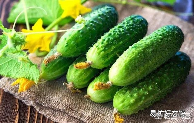 种植黄瓜时,如何提高黄瓜的坐果率?