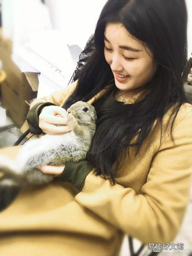 兔子怎么养?