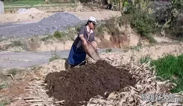 农谚"人粪尿草木灰,二者相混损肥威“。有科学道理吗?