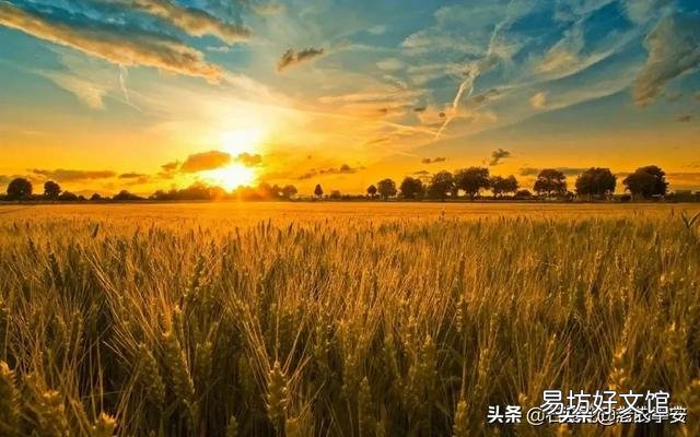 作为一个农村人,是守护家人种地好还是出去打工奋斗好呢?