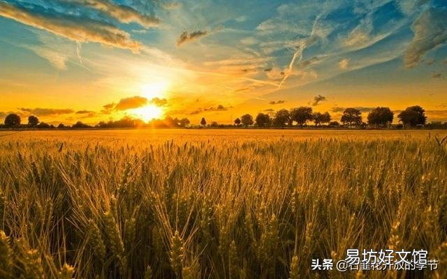 作为一个农村人,是守护家人种地好还是出去打工奋斗好呢?