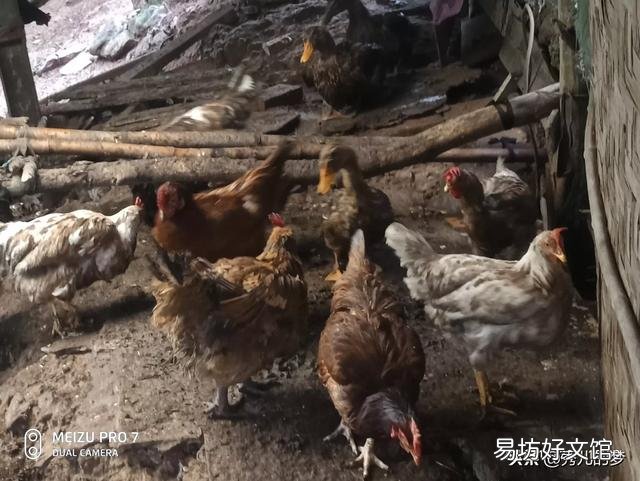 作为一个农村人,是守护家人种地好还是出去打工奋斗好呢?