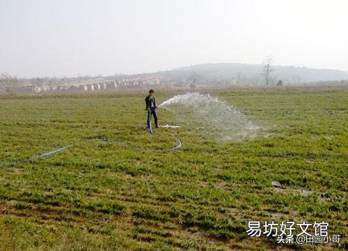 马上入冬了小麦啥时候封冻水最好?