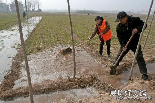 马上入冬了小麦啥时候封冻水最好?