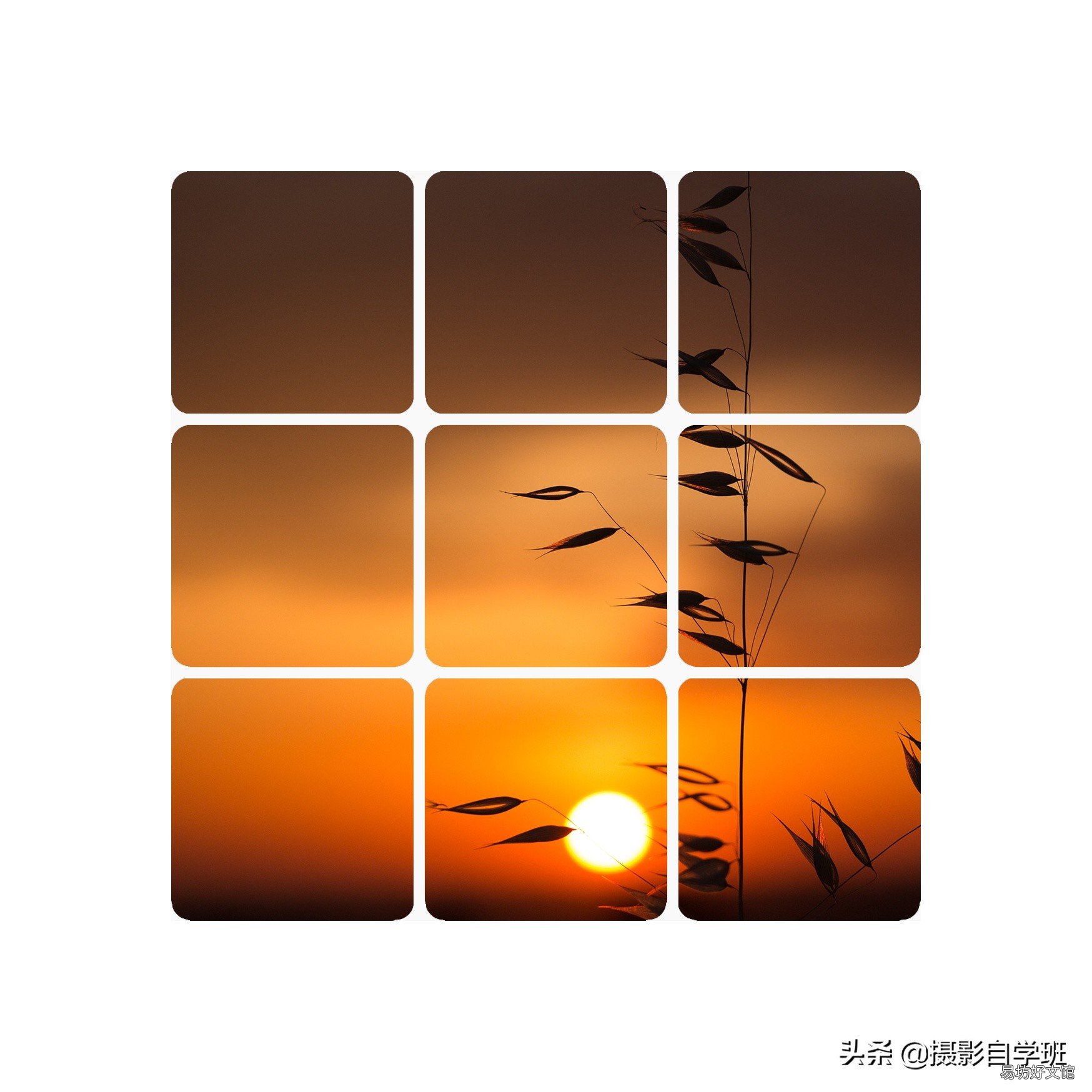 一键制作好九宫格照片 手机美图秀秀一张照片怎么做成九宫格