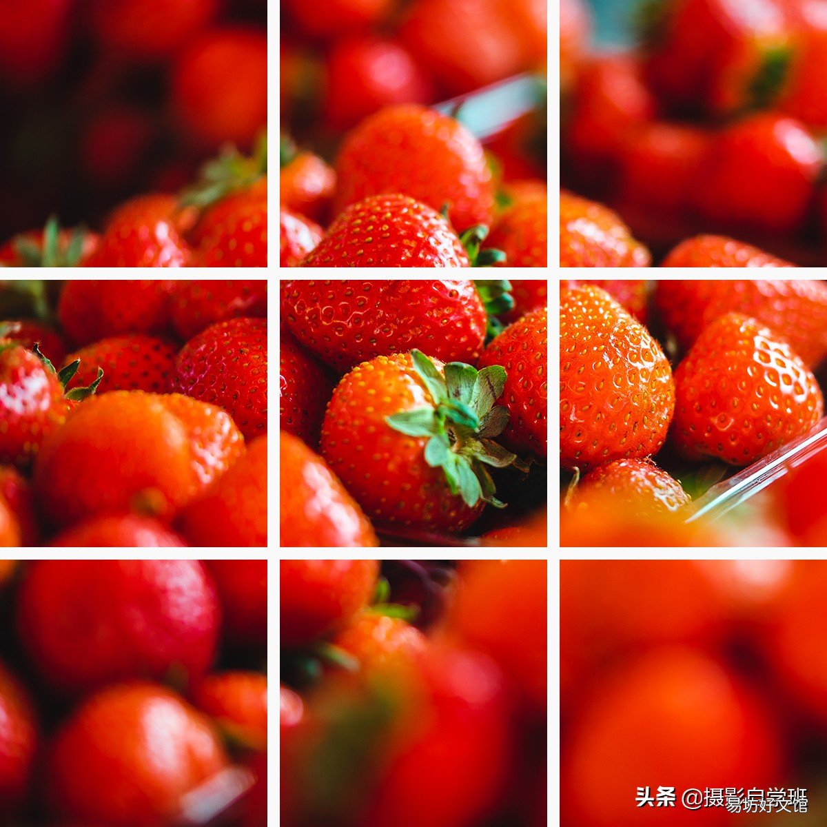 一键制作好九宫格照片 手机美图秀秀一张照片怎么做成九宫格