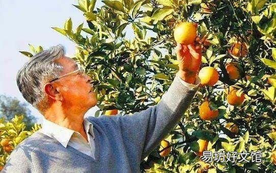品牌运营推广快速见效的方法 新产品如何提升品牌知名度