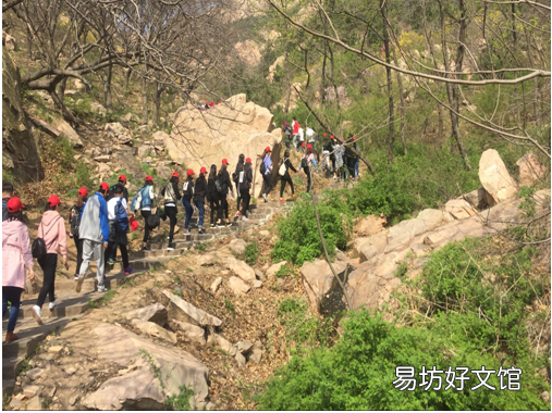 未来最受欢迎的10个行业 未来行业发展趋势好的前十名