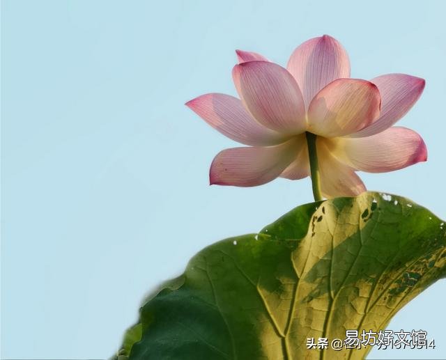 作为一个摄影爱好者,今年夏天你都拍到了哪些让你十分满意的照片呢?可以晒晒吗?