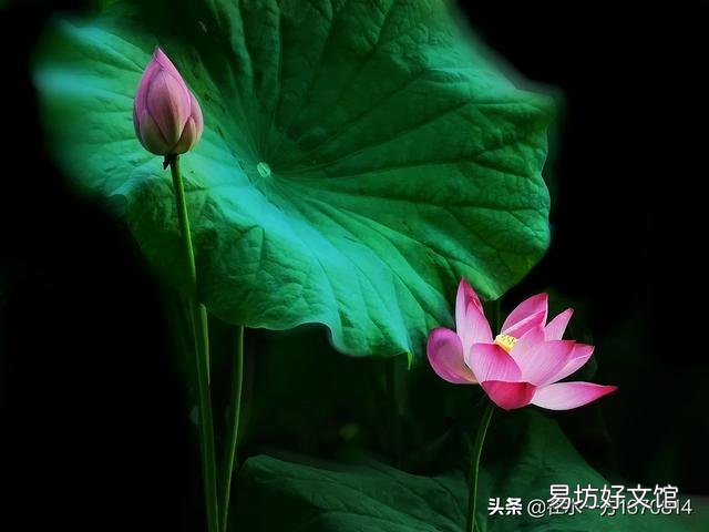 作为一个摄影爱好者,今年夏天你都拍到了哪些让你十分满意的照片呢?可以晒晒吗?