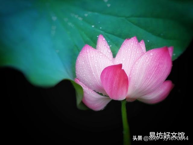 作为一个摄影爱好者,今年夏天你都拍到了哪些让你十分满意的照片呢?可以晒晒吗?
