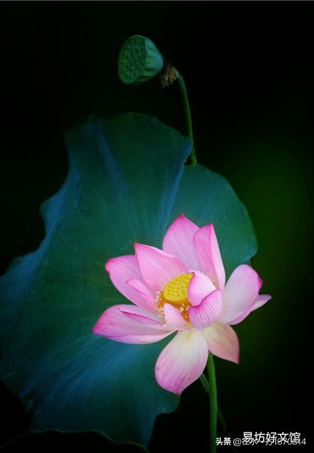 作为一个摄影爱好者,今年夏天你都拍到了哪些让你十分满意的照片呢?可以晒晒吗?