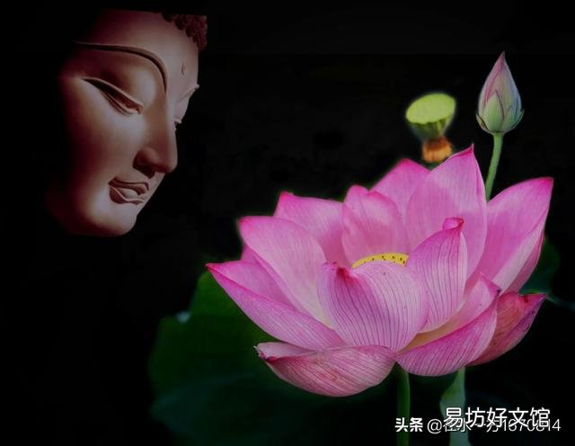 作为一个摄影爱好者,今年夏天你都拍到了哪些让你十分满意的照片呢?可以晒晒吗?