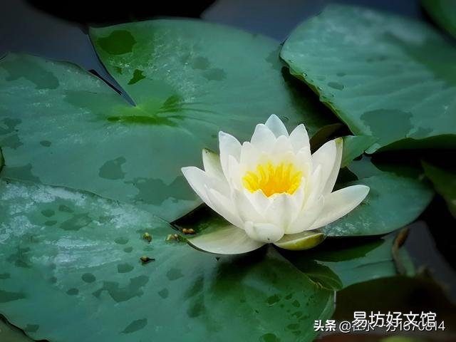 作为一个摄影爱好者,今年夏天你都拍到了哪些让你十分满意的照片呢?可以晒晒吗?