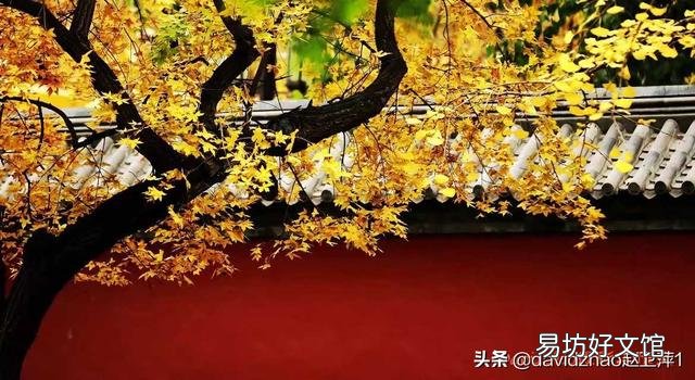 谁有拍过秋天落叶缤纷的景色?能否晒出来?