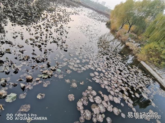 谁有拍过秋天落叶缤纷的景色?能否晒出来?