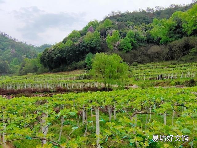 能分享你家乡的美景照吗?