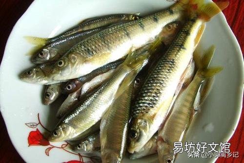 抓鱼捉虾是农村孩子夏天的专利,你最喜欢吃的是哪一种鱼?