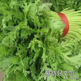 2019年什么时候立秋,立秋之后还热吗?菜园子能种植什么蔬菜?