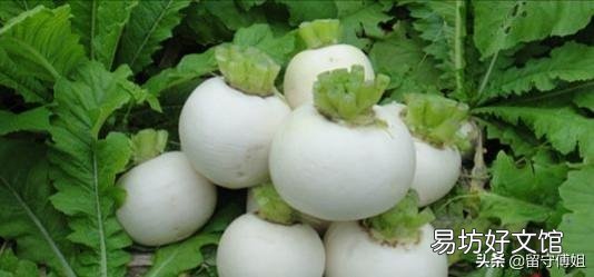 2019年什么时候立秋,立秋之后还热吗?菜园子能种植什么蔬菜?