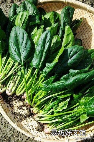 2019年什么时候立秋,立秋之后还热吗?菜园子能种植什么蔬菜?