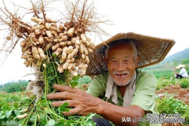 郑州新开了一个电竞酒店，尤森特电竞酒店，有没有去过的？