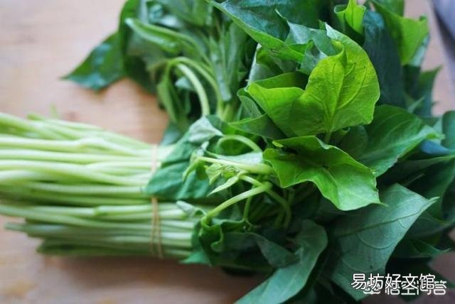 几场雨以后,地里的红薯藤蔓长得有点旺,要不要翻藤呢?