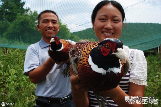 给城市的亲戚送了一些农村野菜,他吃后肚子疼住院现在向我索要赔偿。请问我需要给他?