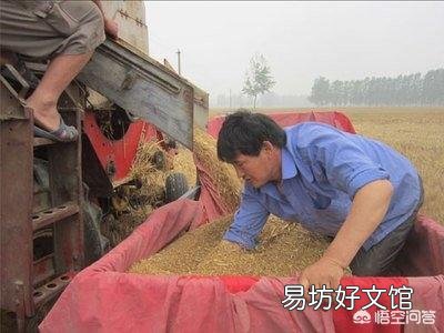 在外打工的你,会不会回家帮父母收小麦?
