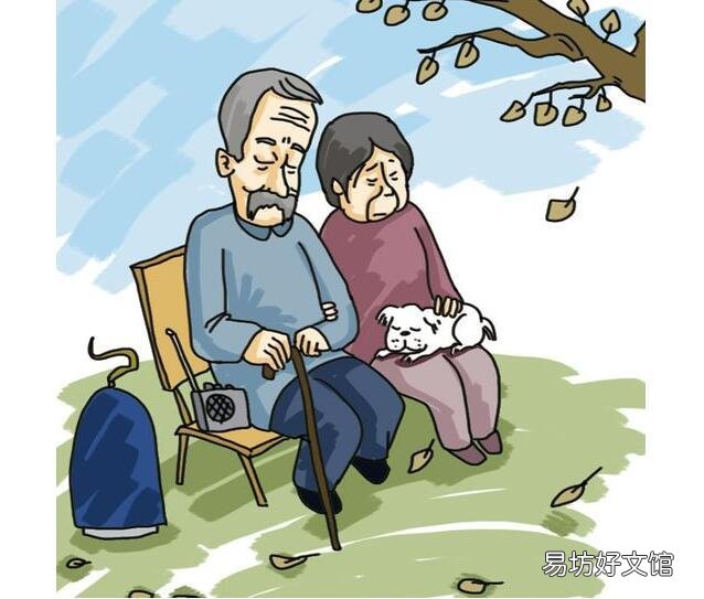 农民老了,干不动活了,怎么办?