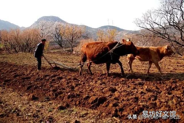 农民老了,干不动活了,怎么办?