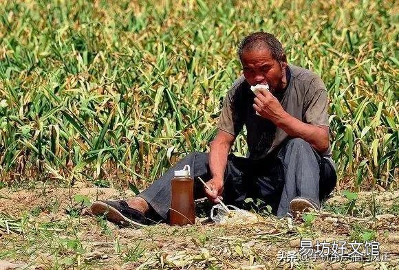 农民老了,干不动活了,怎么办?